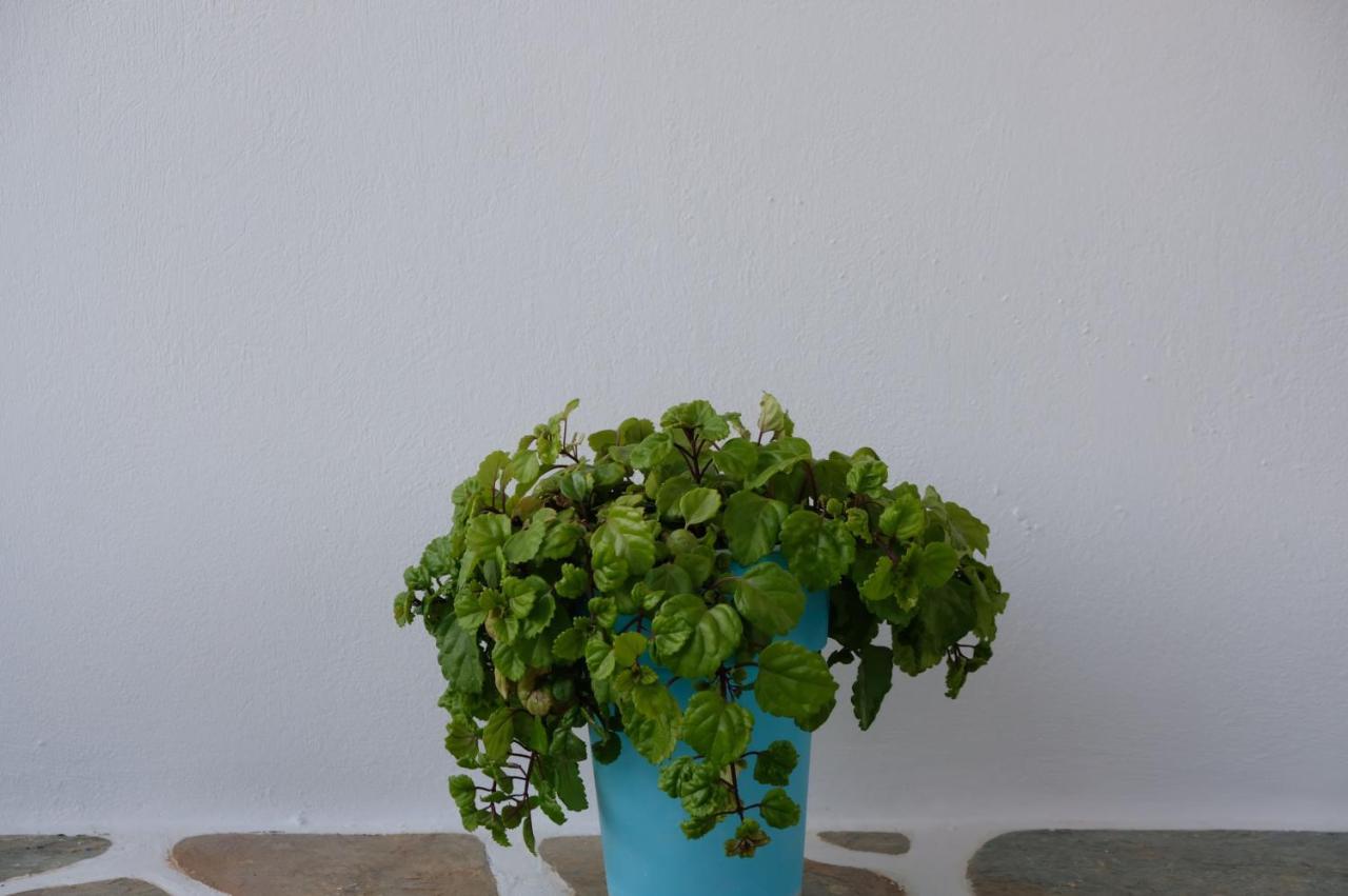 Helen'S Minimal Studios & Apartments Aliki  Bagian luar foto